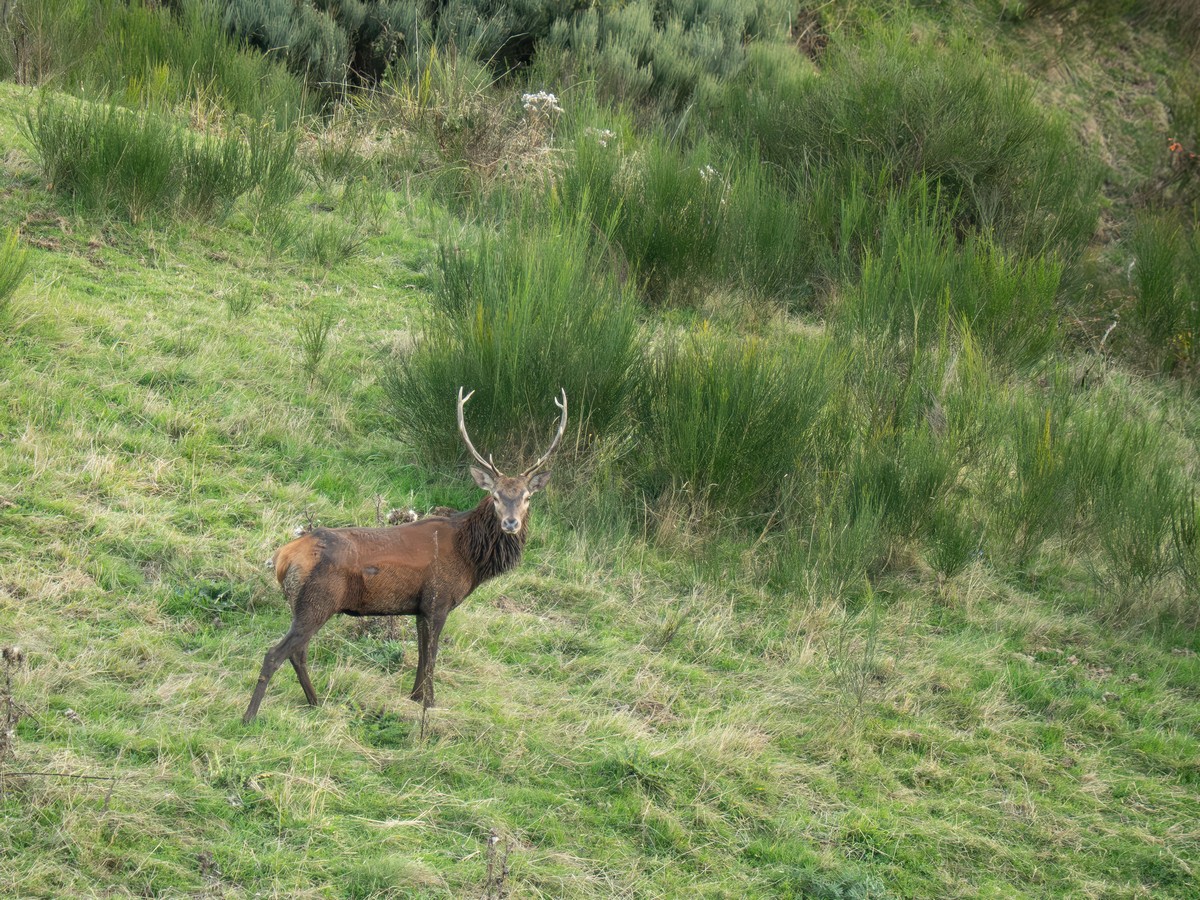 07102025-07 10 25 (7).jpg